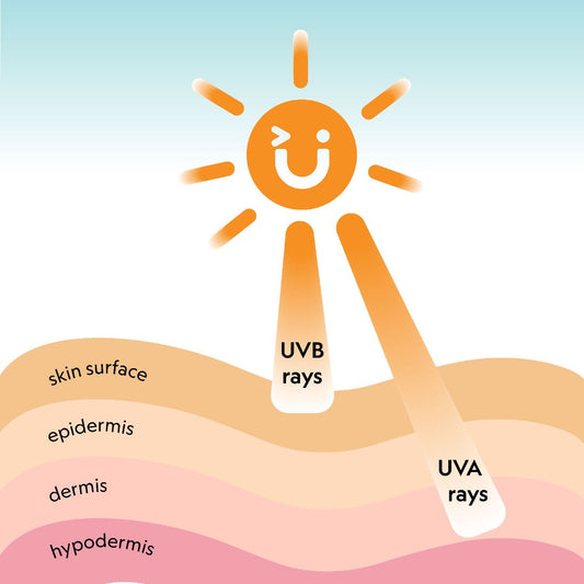 What’s the difference between UVA and UVB?