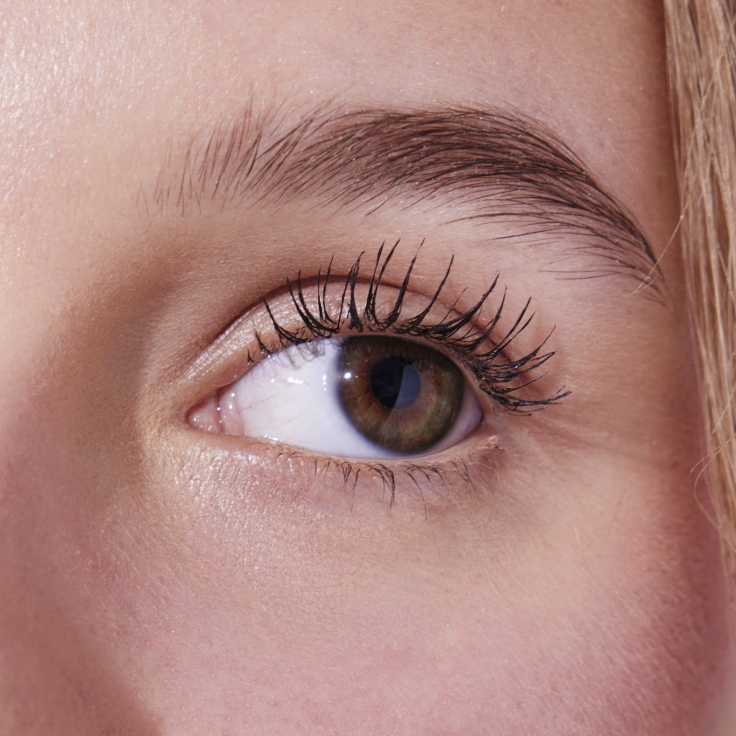 Stand Up Tubing Mascara - Brown Makeup model eye