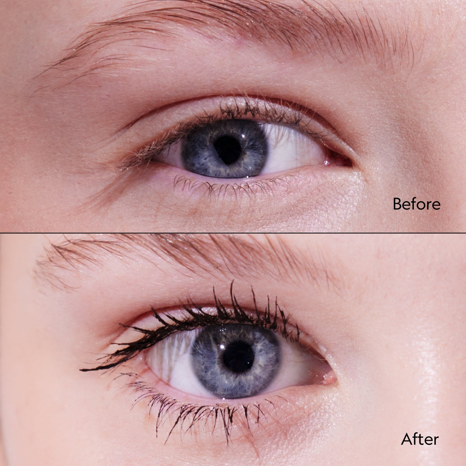 Stand Up Tubing Mascara - Brown Makeup before and after